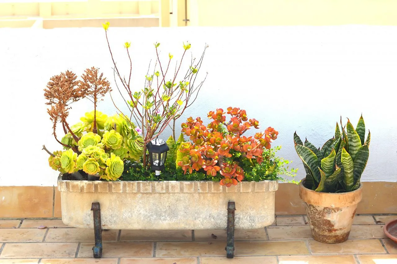 Apartamento El Mirador de Cádiz