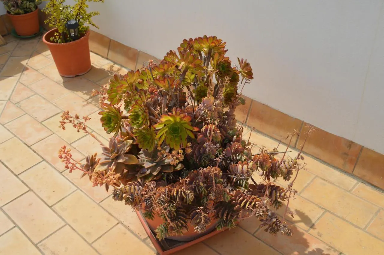 Apartamento El Mirador de Cádiz 0*,